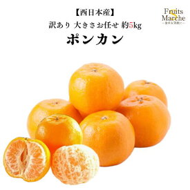 【送料無料】【西日本産】訳あり　ポンカン　大きさお任せ　約5kg(北海道沖縄別途送料加算)