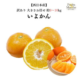 【送料無料】【西日本産】訳ありいよかん　大きさお任せ　約9〜10kg(北海道沖縄別途送料加算)