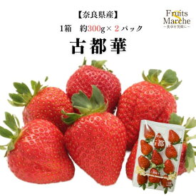 【送料無料】【奈良県産】古都華いちご　ことか　 1箱 約300g×2パック (北海道沖縄別途送料加算)