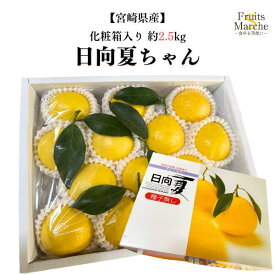 【送料無料】【宮崎県産】日向夏ちゃん　化粧箱入り　約2.5kg(北海道沖縄離島別途送料加算)
