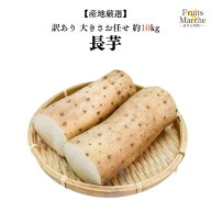 【送料無料】【青森県、北海道、岩手他産地厳選】訳あり　長芋　大きさお任せ 約10kg(北海道沖縄別途送料…