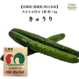 【送料無料】【宮崎県/愛媛県/西日本産】新鮮きゅうり　1箱　大きさお任せ　約5kg(北海道沖縄別途送料加算)
