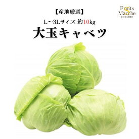 【送料無料】大玉キャベツ キャベツ 約10kg L～3Lサイズ 産地厳選 送料無料 （北海道・沖縄県は別途送料加算）
