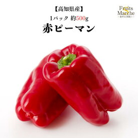 【送料別】【高知県産】赤ピーマン 1パック 約500g【野菜詰め合わせセットと同梱で送料無料】