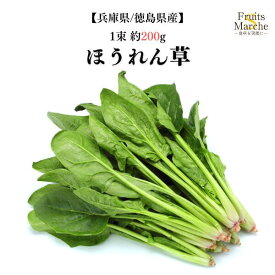 【送料別】【兵庫県/徳島県産】ほうれん草　1束　約200g 【野菜詰め合わせセットと同梱で送料無料】
