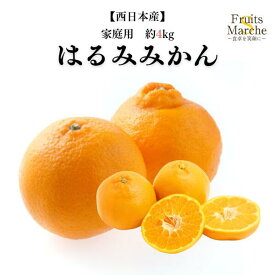 【送料無料】【徳島県他西日本産】訳あり　はるみみかん　大きさお任せ　家庭用　約4kg(北海道沖縄別途送料加算)