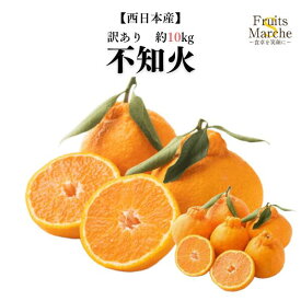 【送料無料】【西日本産】訳あり　不知火　大きさお任せ　約10kg(北海道沖縄別途送料加算)