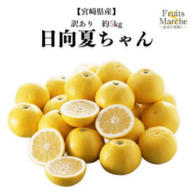 【送料無料】【宮崎県産】訳あり　日向夏ちゃん　大きさお任せ　約5kg(北海道沖縄別途送料加算)