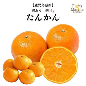 【送料無料】【鹿児島県産】訳あり たんかん 大きさおまかせ 約4kg(北海道沖縄別途送料加算)