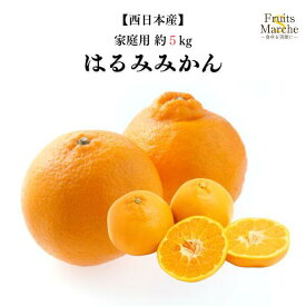 【送料無料】【西日本産】訳あり　はるみ みかん　ブランドみかん　大きさお任せ　1箱 約5kg(北海道沖縄別途送料加算)