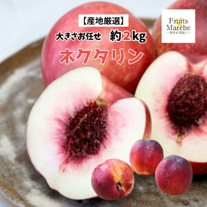 �y���������z�y�Y�n���I�z�l�N�^�����@�傫�����C���@��2kg(�k�C������ʓr�������Z)