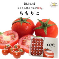 【送料無料】【徳島県産】 ももりこトマト 大きさお任せ 1箱 約800g(北海道沖縄別途送料加算)