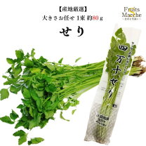 楽天市場】せり 束の通販