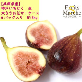 楽天市場 イチジク 産地 都道府県 兵庫 フルーツ 果物 食品 の通販