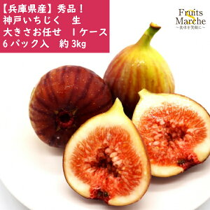 イチジク 生 フルーツの人気商品 通販 価格比較 価格 Com