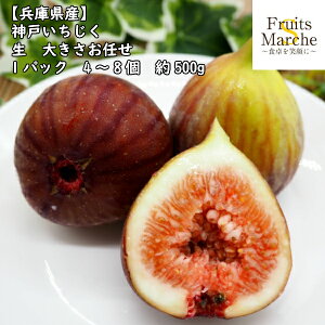 イチジク 生の人気商品 通販 価格比較 価格 Com