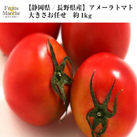 楽天市場 トマト 種 高糖度の通販