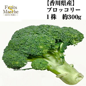 yʁzy쌧YzubR[ 1 300g y؋lߍ킹ZbgƓőz