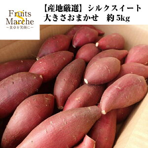 yIzVNXC[g ܂ 5kg 󂠂 傫C 1 YnI  ikCEꌧ͕ʓrZj