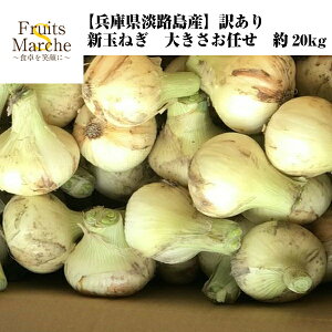 淡路島 新 玉ねぎの人気商品 通販 価格比較 価格 Com