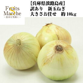 【送料無料！】訳あり新玉ねぎ 兵庫県淡路島産 10kg 大きさお任せ 新玉ねぎ 玉ねぎ たまねぎ 訳あり 送料無料（北海道・沖縄県は別途送料加算）