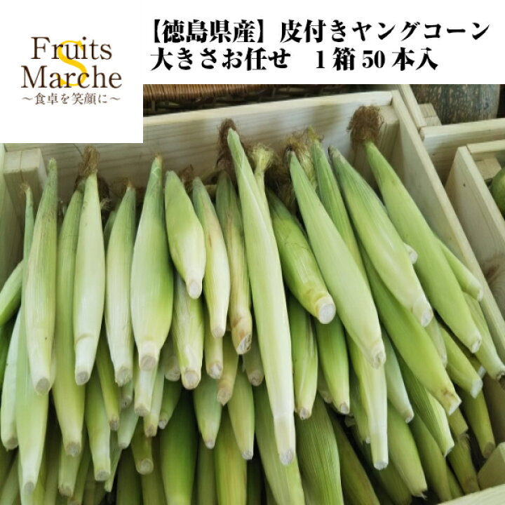 楽天市場 クール便送料無料 徳島県産 皮付きヤングコーン 1箱50本入 北海道沖縄別途送料加算 とうもろこし コーン ベビーコーン 敬老の日 野菜 トウモロコシ コーンスープ 夏野菜 父の日 バーベキュー 暑い日の夕飯 暑中見舞い 旬のグルメ 暑中見舞い 残暑見舞い