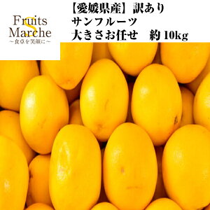 �y���������z�y���Q���Y�z�󂠂�@�T���t���[�c�@�傫�����܂����@��10kg(�k�C������ʓr�������Z)