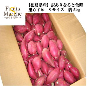 yIzȂƋ ނ ܂ STCY 5kg 󂠂  Y ikCEꌧ͕ʓrZj