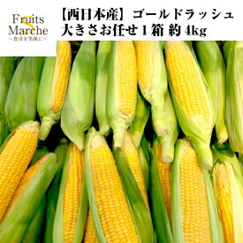 楽天市場 とうもろこし 輪切りの通販 楽天市場 とうもろこし 輪切りの通販