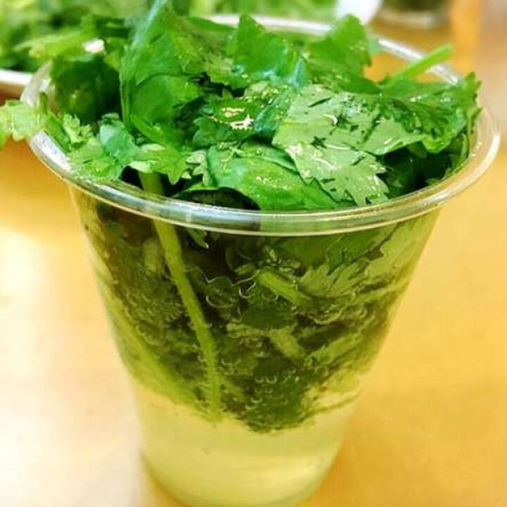 Fauchonパクチー 香菜 6g 5本 全商品オープニング価格