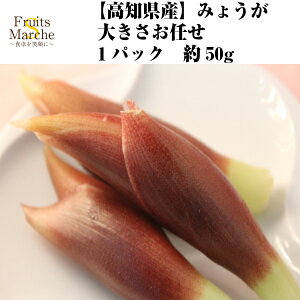 みょうが 野菜 きのこ 食品の人気商品 通販 価格比較 価格 Com