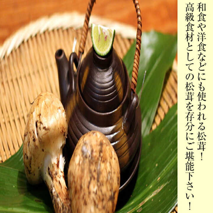 楽天市場】【送料無料】【中国産】松茸(マツタケ) 専用カゴ入り 国産 