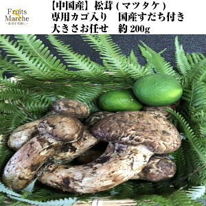 松茸 0gの人気商品 通販 価格比較 価格 Com