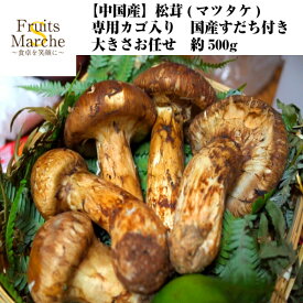 【送料無料】【中国産】松茸(マツタケ)　専用カゴ入り　国産すだち付き　大きさお任せ　約500g(北海道沖縄別途送料加算)