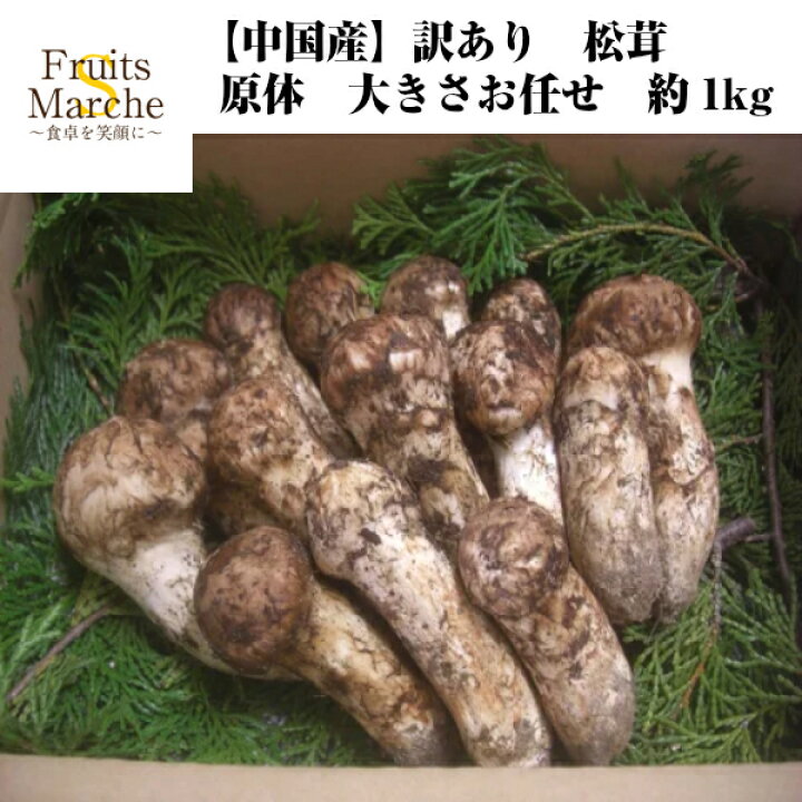 楽天市場】【送料無料】【中国産】訳あり 松茸 原体 大きさお任せ 約  