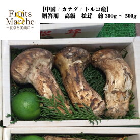 楽天市場 国産 まつたけ 生産国トルコ の通販