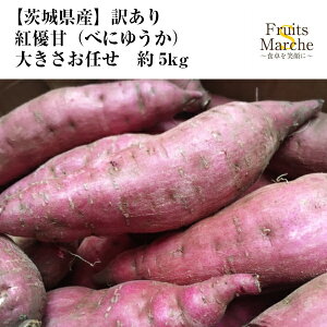 yIzgD ׂɂ䂤 g͂邩 ܂ 5kg 󂠂傫C 錧Y ikCEꌧ͕ʓrZj