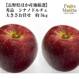 【送料無料】【長野県ほか産地厳選】秀品　シナノドルチェ　大きさお任せ　約5kg(北海道沖縄別途送料加算)