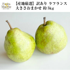 yIztX m mȂ 5kg 󂠂 傫C EtX 悤Ȃ YnI  ikCEꌧ͕ʓrZj