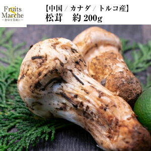 松茸 0gの人気商品 通販 価格比較 価格 Com