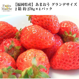 【送料無料！】あまおう いちご 福岡県産 グランデサイズ 2箱 約270g×4パック 送料無料（北海道・沖縄県は別途送料加算）