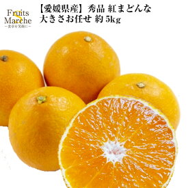 【送料無料！】紅まどんな みかん 約5kg 秀品 大きさお任せ 愛媛県産 柑橘類 送料無料（北海道・沖縄県は別途送料加算）