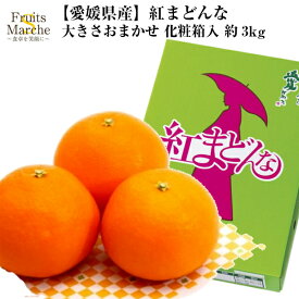 【送料無料】紅まどんな みかん 約3kg 大きさお任せ 1箱 愛媛県産 柑橘類 送料無料（北海道・沖縄県は別途送料加算）
