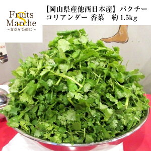 パクチーの人気商品 通販 価格比較 価格 Com