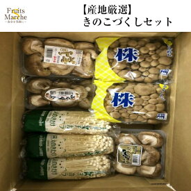 【送料無料】【産地厳選】きのこづくしセット(北海道沖縄別途送料加算)