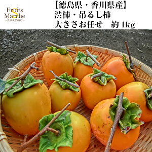 yʁza` ݂邵` ` p `  1kg 傫C Y 쌧Y ikCEꌧ͕ʓrZjy؋lߍ킹ZbgƓőz