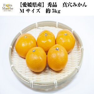 yIz݂ ^݂ 5kg Gi MTCY QY k ikCEꌧ͕ʓrZj