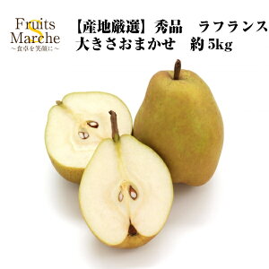 yIztX m mȂ 5kg Gi 傫C EtX 悤Ȃ YnI  ikCEꌧ͕ʓrZj