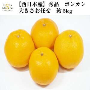 ポンカン みかんの人気商品 通販 価格比較 価格 Com ポンカン みかんの人気商品 通販 価格比較 価格 Com