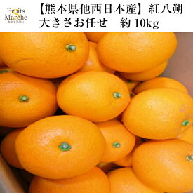 【送料無料】【熊本県他西日本産】紅八朔　大きさお任せ　約10kg(北海道沖縄別途送料加算)